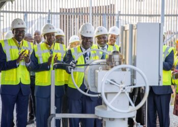 Côte d&rsquo;Ivoire : LE GISEMENT BALEINE