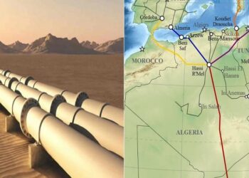 Gazoduc Nigeria-Algérie : le projet incertain, après la sortie du Mali, du Niger et du Burkina Faso de la CEDEAO ?
